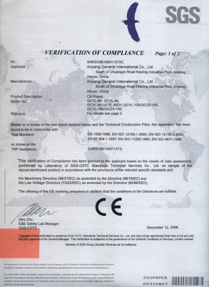Crane Manufacturer CE Certificate 