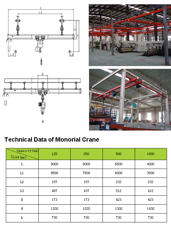 Monorail Crane Design 