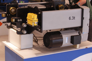 Chain Hoist for Sale 