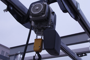 Electric Hoist Crane for Sale 