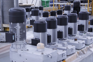 Electric Hoist Supplier 